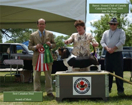 Reserve Winners Dog