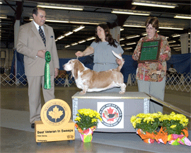 Reserve Winners Dog