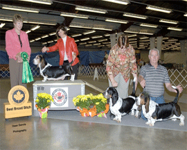 Reserve Winners Dog