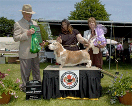 Reserve Winners Dog