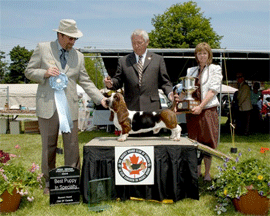 Reserve Winners Dog