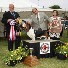 Reserve Winners Dog