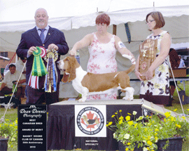 Reserve Winners Dog