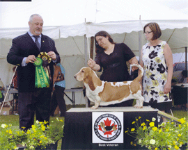 Reserve Winners Dog