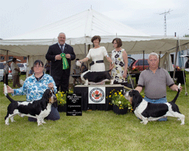 Reserve Winners Dog